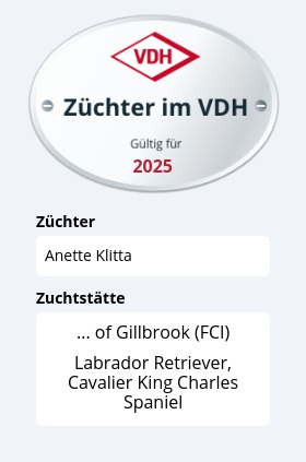 VDH Zuechetplakette Web 2025 380